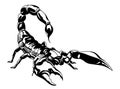 Isolated illustration of a scorpion on a white background. Scorpion logo. Royalty Free Stock Photo