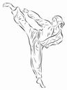 Illustration of a woman martial athletes, vector drawing