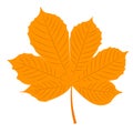 Autumn chestnut leaf Royalty Free Stock Photo