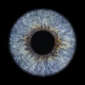 Isolated image of a blue human iris in a circular shape set against a black backdrop