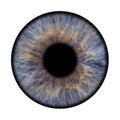 Isolated image of a blue human iris in a circular shape set against a white backdrop