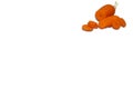 Isolated image of carrots on a white background Royalty Free Stock Photo