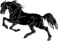 Isolated image, drawing, black silhouette horse, galloping horse on white background