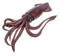 Giant Squid (Architeuthis dux) Isolated on White Background Royalty Free Stock Photo