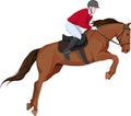 Isolated image of jumping horse and jokey