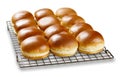 Brioch buns cooling on a wire tray Royalty Free Stock Photo