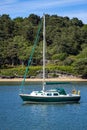 Isolated image of a small sail boat