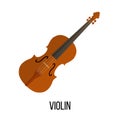 Isolated image of violin on white background.