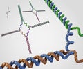 Isolated immobile nucleic acid junctions