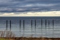 Isolated industrial mooring poles in the Baltic sea with birds on them in Limhamn convey sadness, uncertainty and melancholy