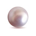 Isolated jewel ball. Realistic pearl