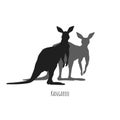 Isolated kangaroo silhouettes. Couple australian animals. Nature of Australia. Wildlife savannah scenery. Black print