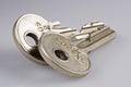 Isolated keys various Royalty Free Stock Photo