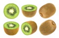Isolated kiwi fruit. Collection of whole and cut kiwi isolated on white background with clipping path. Royalty Free Stock Photo