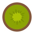 Isolated kiwi icon