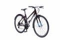 Isolated Lady Bike for Gent In Black Color Royalty Free Stock Photo