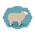 Isolated lamb livestock animal design Royalty Free Stock Photo