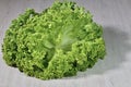 Isolated head of fresh lettuce close up Royalty Free Stock Photo