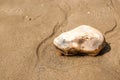 Isolated large pebble in the sand