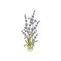 Isolated lavender flower bouguet