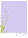 Isolated lavender flower bouguet