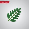 Isolated Leaves Flat Icon. Acacia Leaf Vector Element Can Be Used For Acacia, Leaf, Leaves Design Concept. Royalty Free Stock Photo