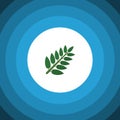 Isolated Leaves Flat Icon. Acacia Leaf Vector Element Can Be Used For Acacia, Leaf, Leaves Design Concept. Royalty Free Stock Photo