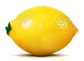 Isolated lemon fruit