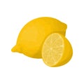 Isolated lemon fruit.