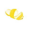 Isolated lemon peel with detail and shadows.