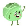 Isolated lettuce cartoon kawaii