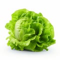 Isolated Lettuce On White Background In Stunning 8k Resolution