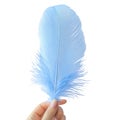 Isolated light blue feather held by hand close up on dark space on transparent background Royalty Free Stock Photo
