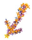 Isolated line multicolor arrows, collection of elements application of dried pressing bright flowers