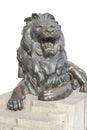 Isolated lion sitting on stone stage Royalty Free Stock Photo