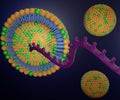 Isolated Lipid nanoparticles containg RNA strand