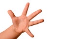 Isolated little baby hand shows different gestures on a white background