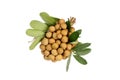 Isolated Longan (Dragon Eyes) Royalty Free Stock Photo
