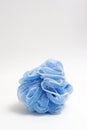 Isolated Loofah Royalty Free Stock Photo