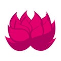 Isolated lotus flower icon Royalty Free Stock Photo