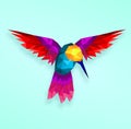 Isolated Low poly colorful Hummingbird with soft back ground,animal geometric,vector.