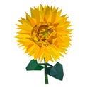 Isolated with Low poly Sunflower,Yellow flower, Nature geometric concept,Abstract vector