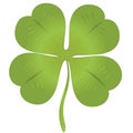 Isolated luck clover for Saint Patrick celebration and 1st of March