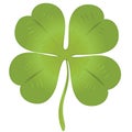 Isolated luck clover for Saint Patrick celebration and 1st of March Royalty Free Stock Photo
