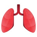 Isolated lungs image