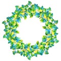 Isolated lush watercolor wreath with blue-green leaves