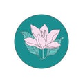 Magnolia Flower Logo Illustration Design