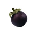 Isolated mangosteen