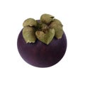 Isolated mangosteen