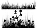 Isolated meadow illustration